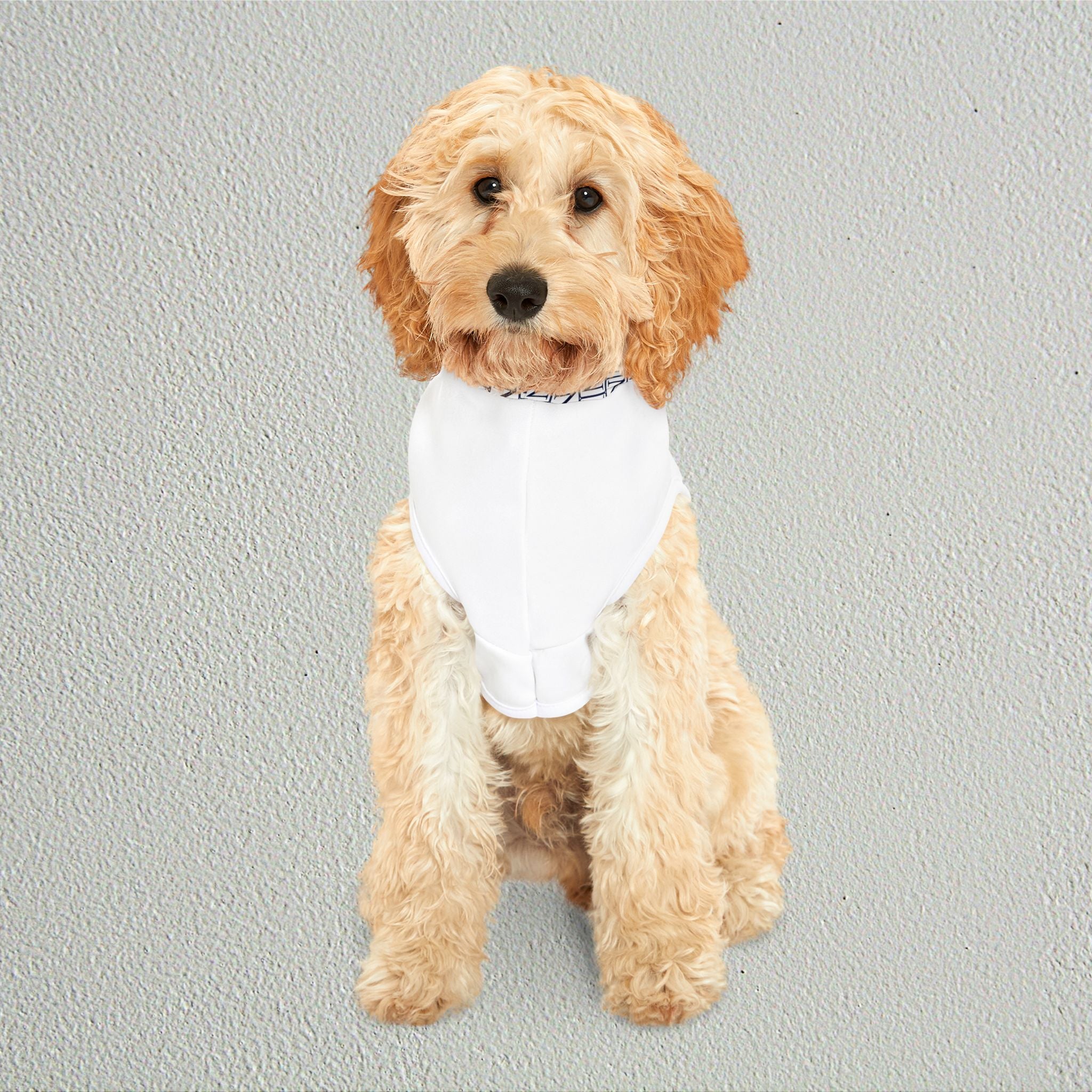 Nebula Pet Hoodie — Modern Monogrammed Dog & Cat Hoodie