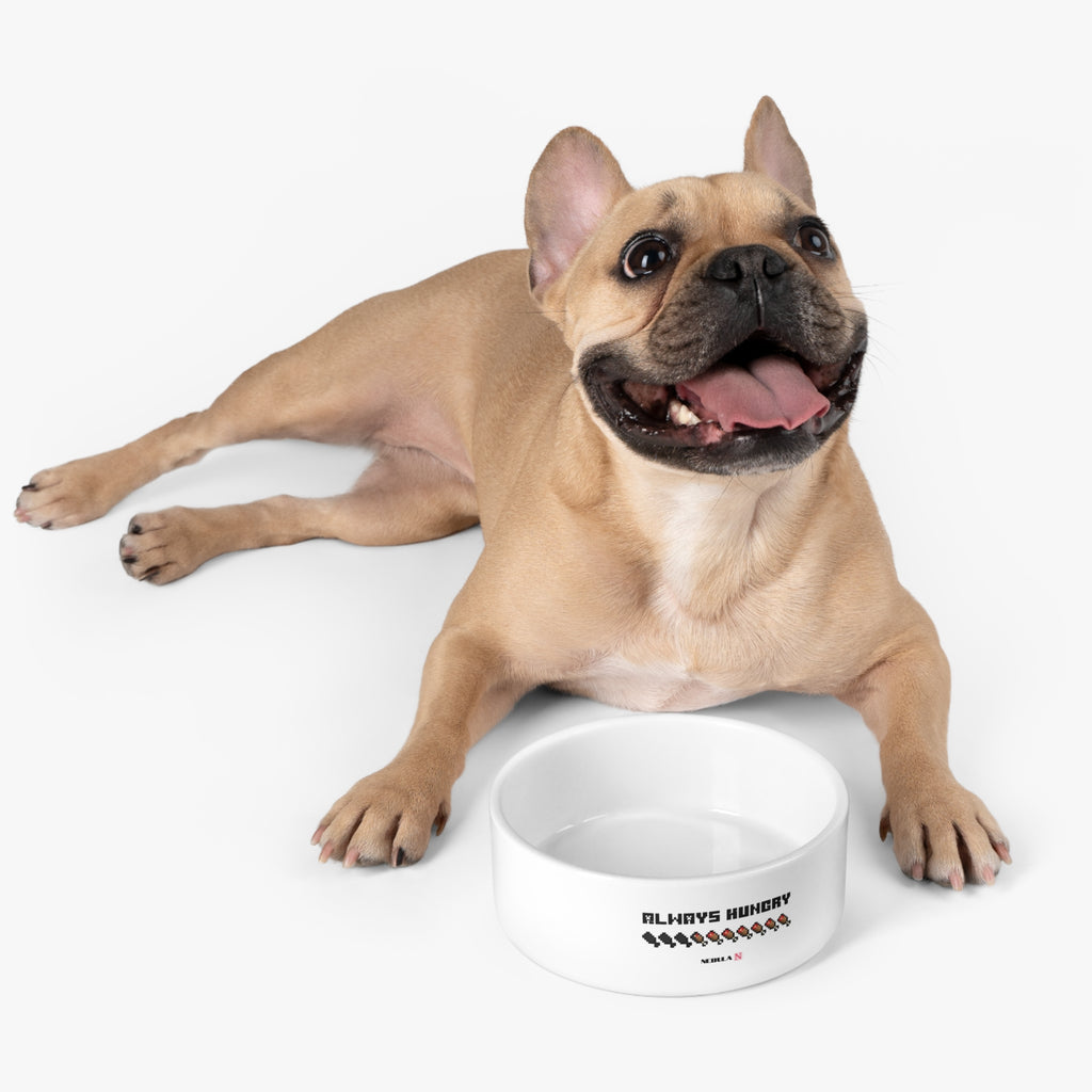Nebula "Always Hungry" Pet Bowl — Dog/Cat Feeding Bowl