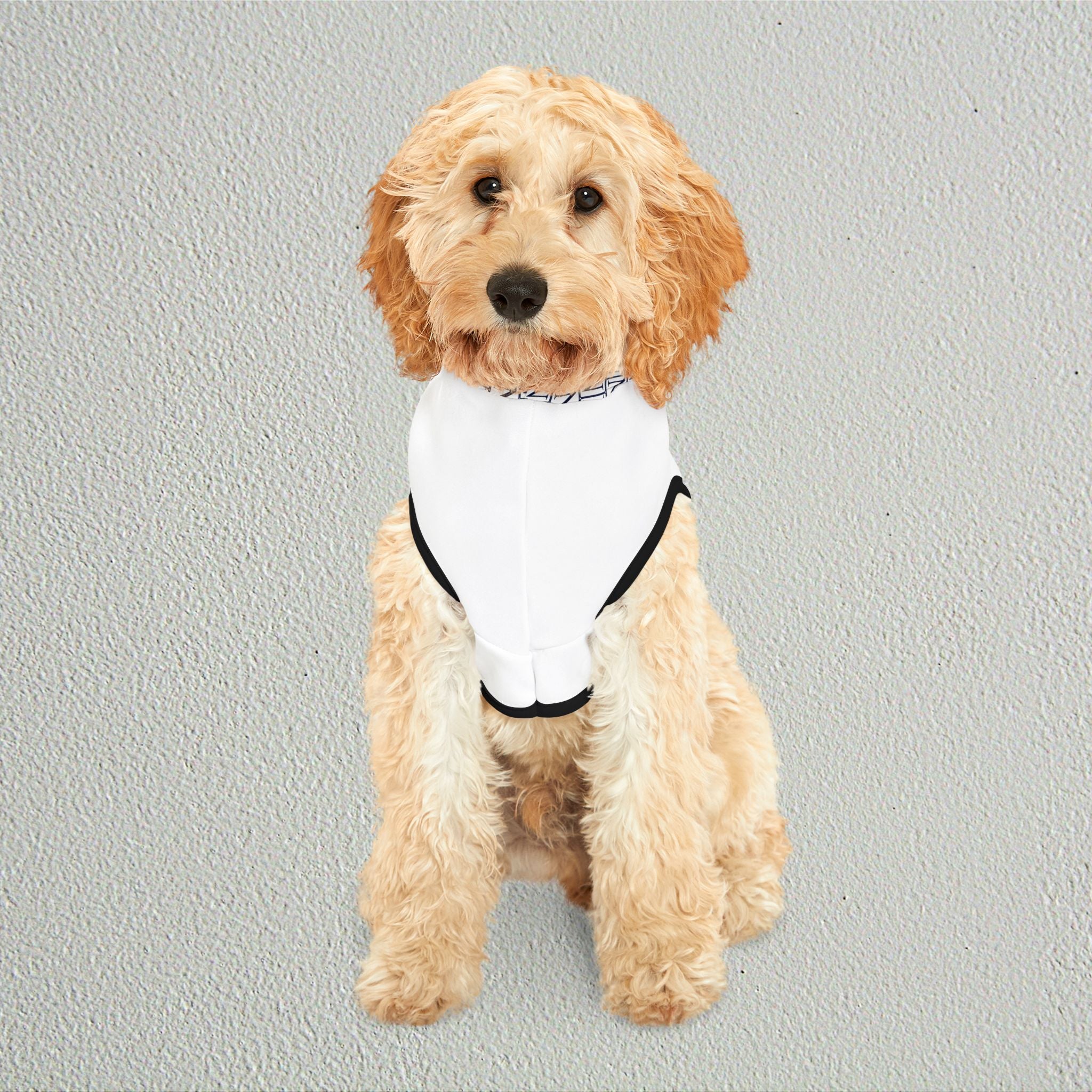 Nebula Pet Hoodie — Modern Monogrammed Dog & Cat Hoodie